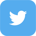 twitter icon