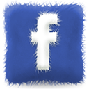 furry,cushion,facebook,social,social network,sn icon