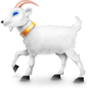 frank,animal,goat icon