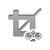crop,binoculars icon