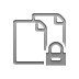 copy,lock icon