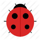 fly, insect, ladybug icon