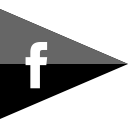 brand, company, facebook, flag, logo, media, social svg vector icon