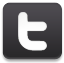 twitter,social network,social,sn icon
