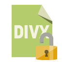 file,format,divx,lock,open icon