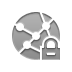 network,lock icon