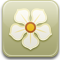 magnolia icon