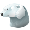 polar,bear,animal icon