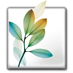 adobe,cs icon