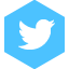 twitter icon