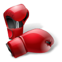 boxing,gloves,box,sport icon