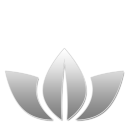 31 W icon