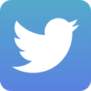 social, twitter svg vector icon