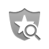 security,zoom icon