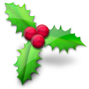 christmas,holly icon