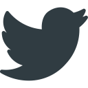 logo, media, social, twitter svg vector icon