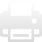 print icon