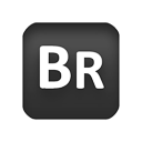 bridge icon