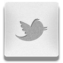 twitter,bird icon