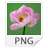 Flat World 54 icon
