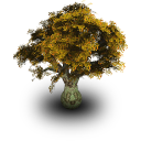 tree,plant icon