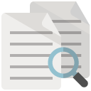 document,zoom icon