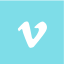 vimeo icon