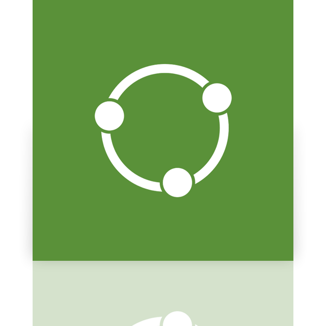 share,alt,mirror icon