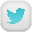twitter icon