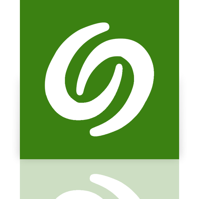 desktop, google, mirror icon