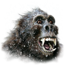 yeti icon