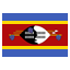 sz icon
