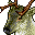 reindeer icon